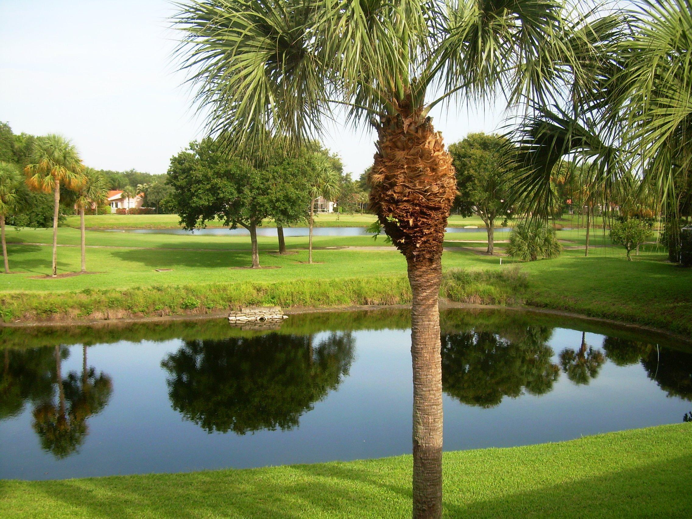 MLS #RX-11149093 image #1