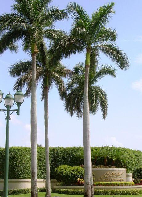 MLS #RX-11149093 image #23