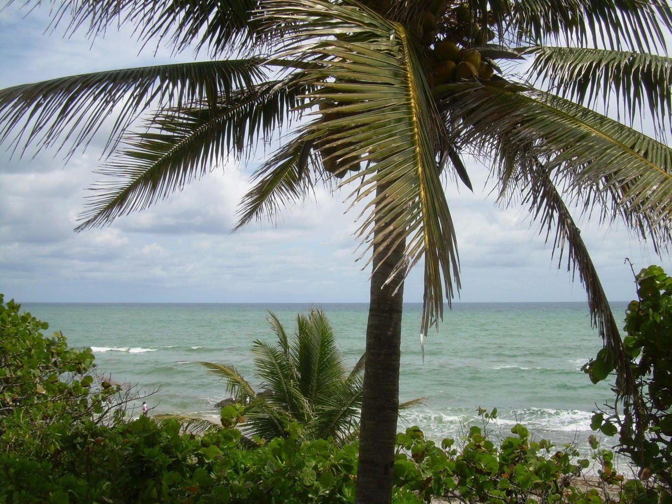 MLS #RX-11149093 image #28