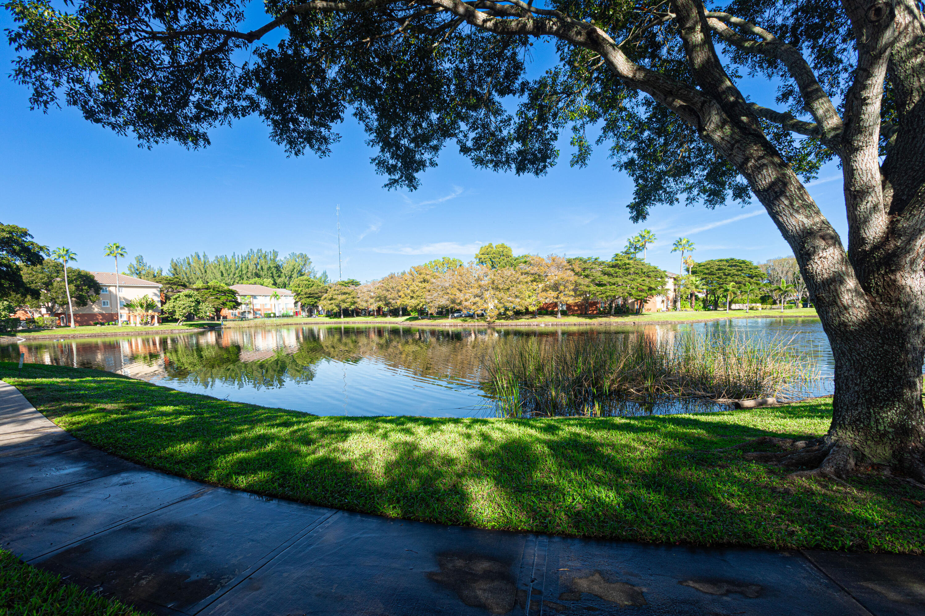 MLS #RX-11149385 image #24