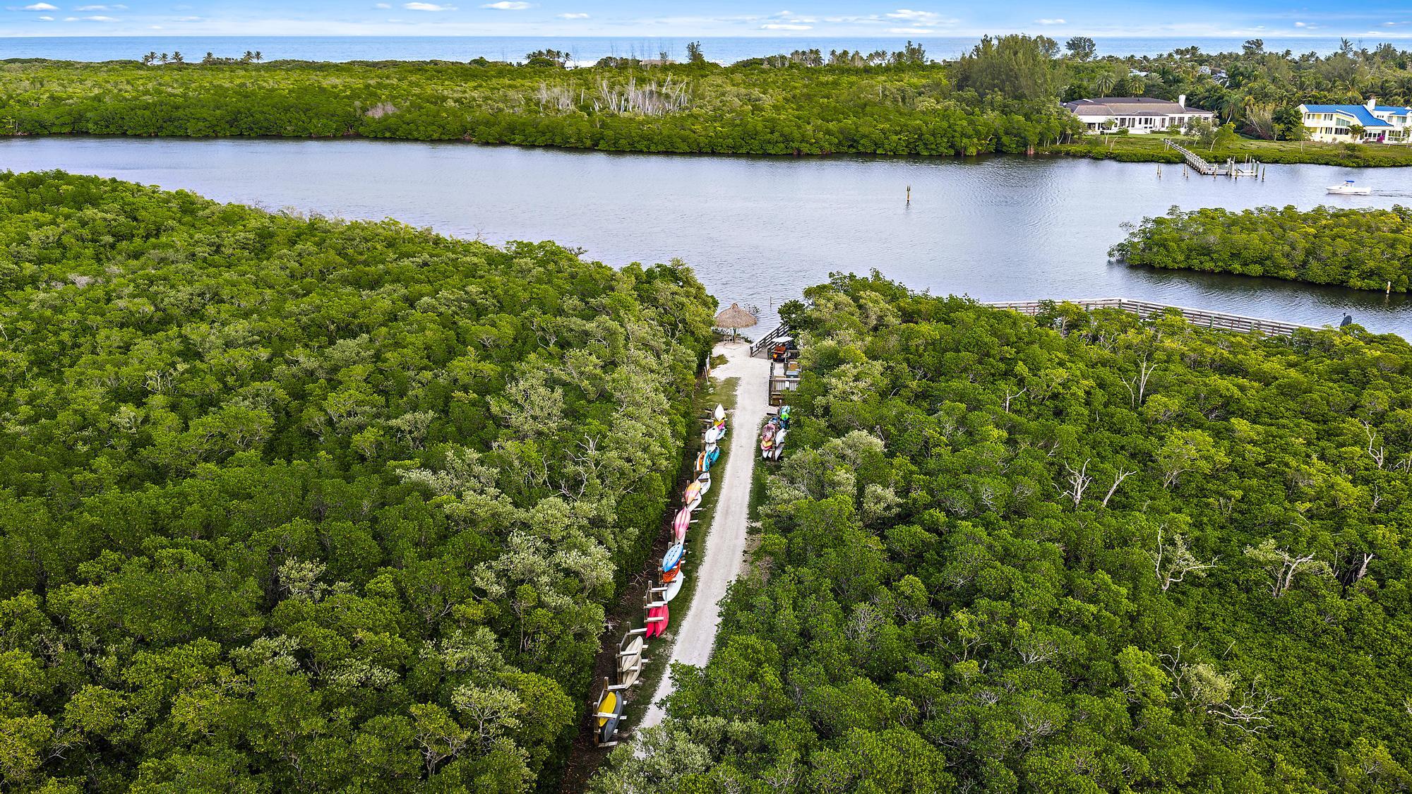 MLS #RX-11149588 image #6