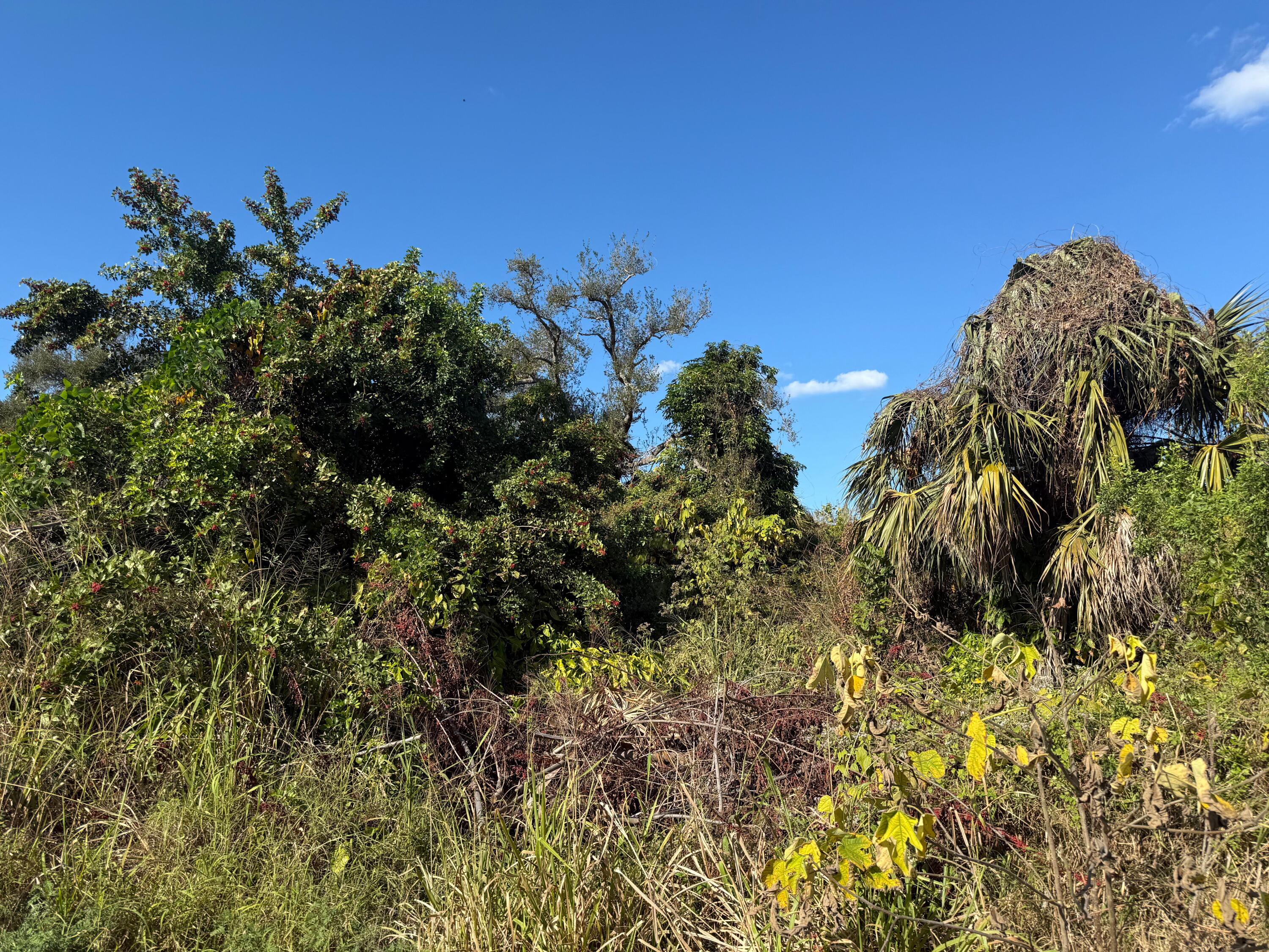 MLS #RX-11153696 image #0