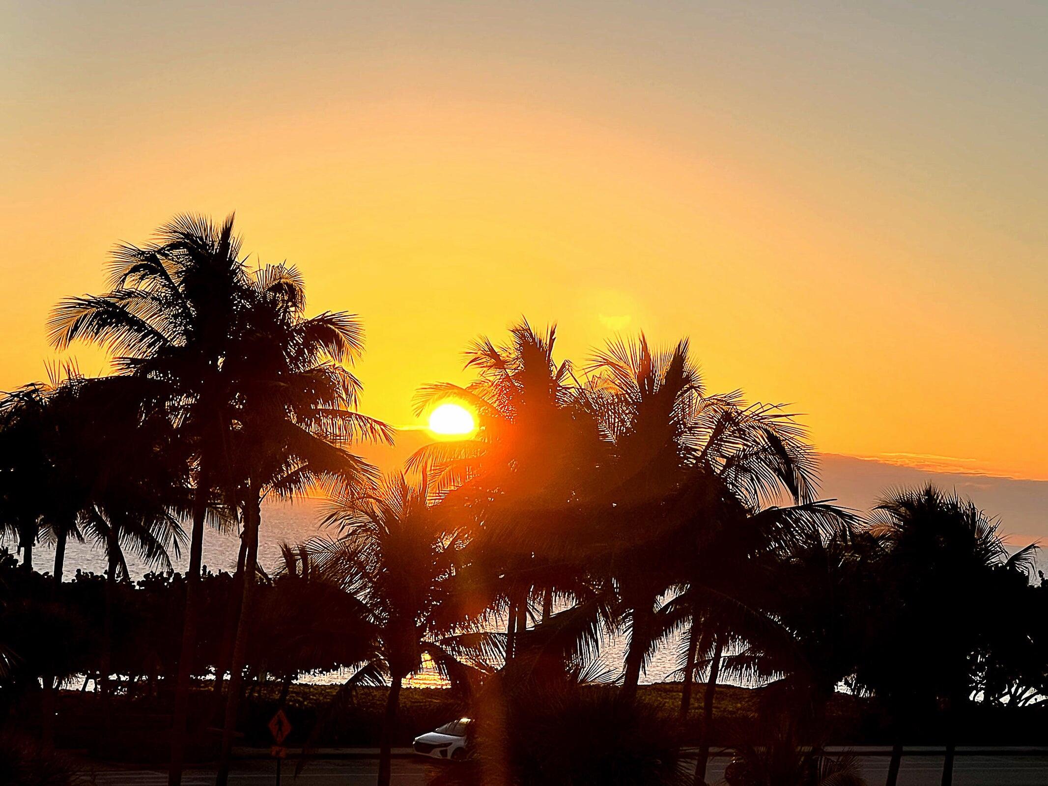 MLS #RX-11153818 image #2