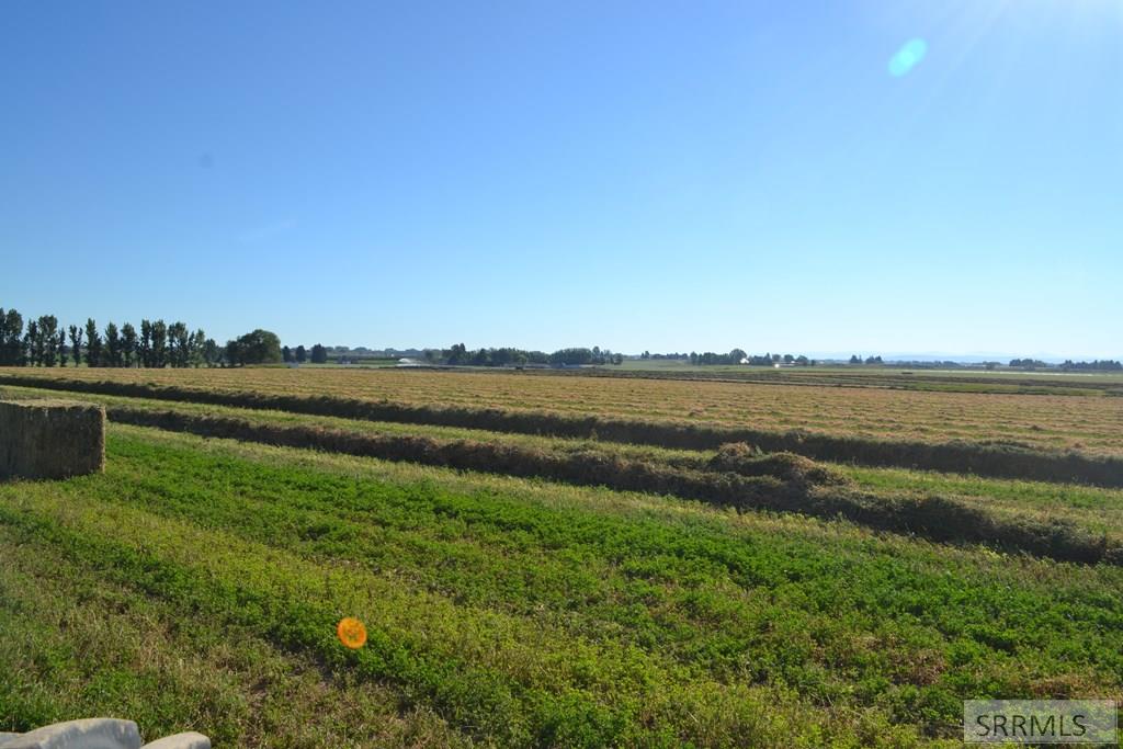 MLS #2137670 image #1