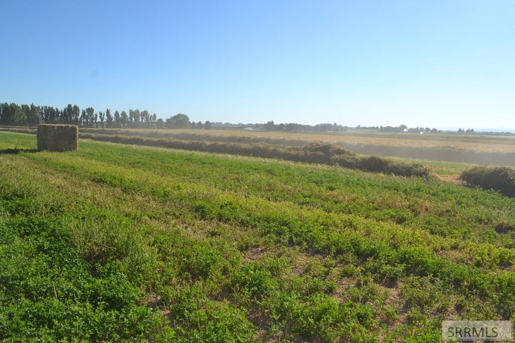 MLS #2137670 image #2