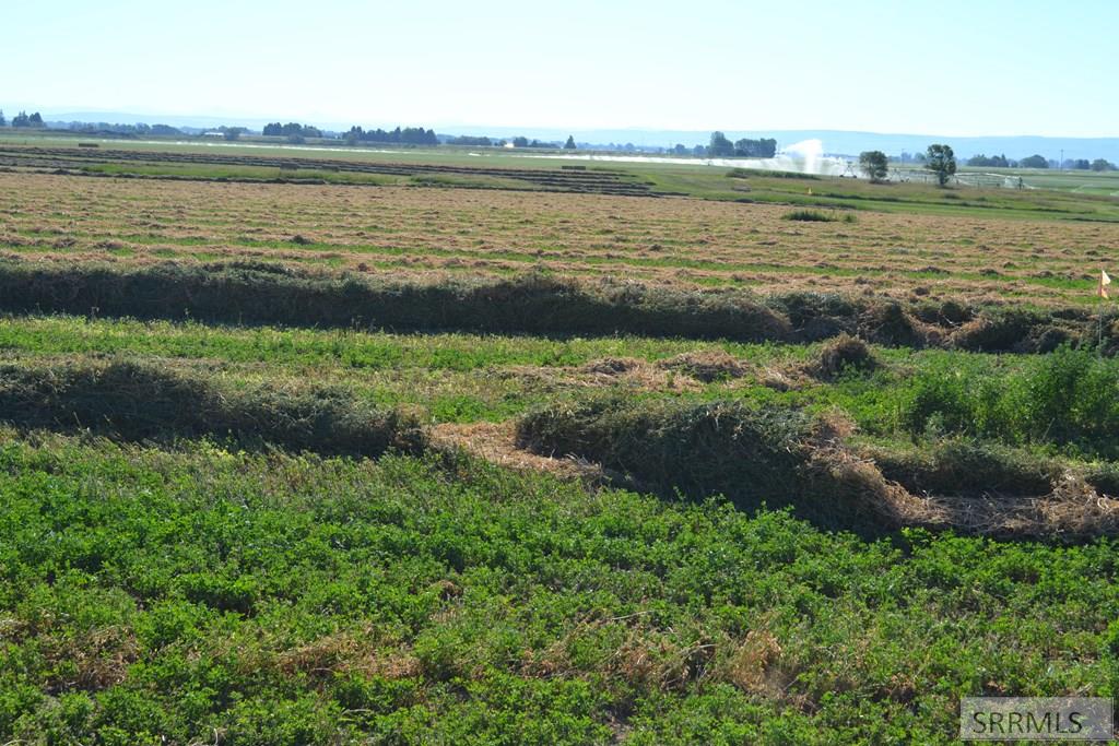 MLS #2137670 image #3