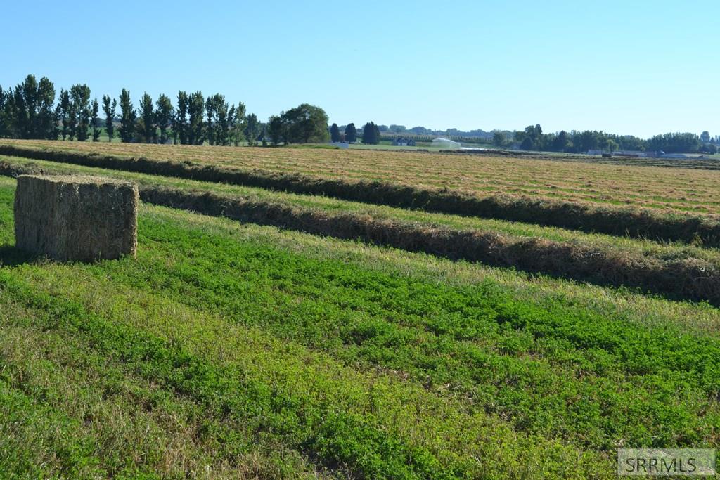 MLS #2137670 image #4