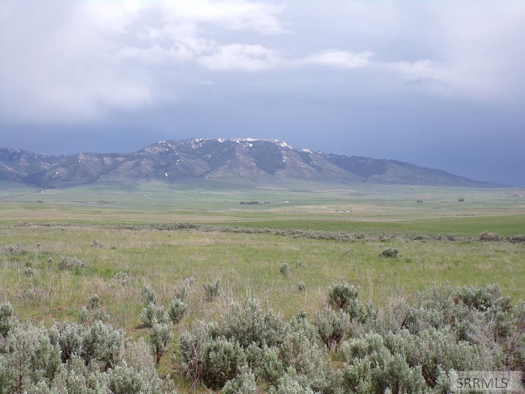 MLS #2156000 image #0