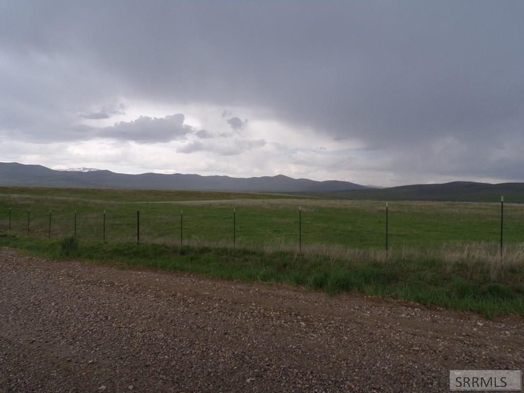 MLS #2156000 image #5