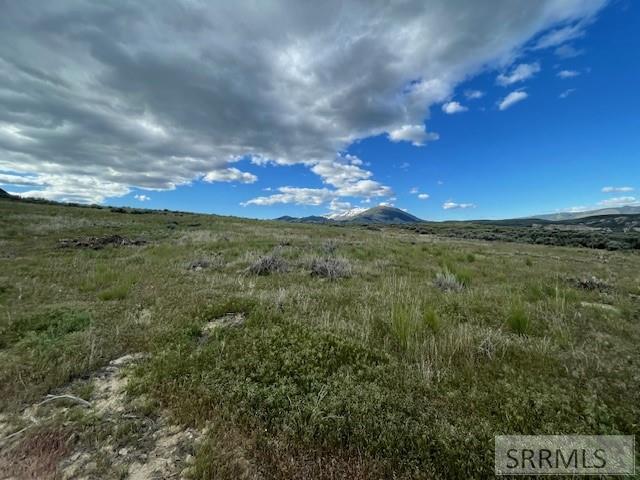 MLS #2165175 image #22