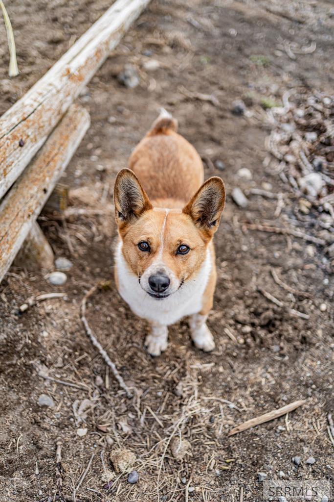 MLS #2175172 image #53