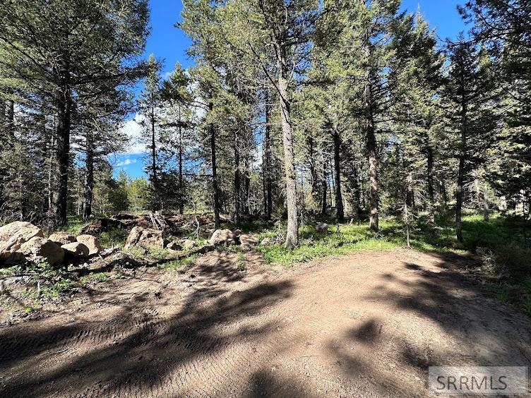 MLS #2175437 image #40