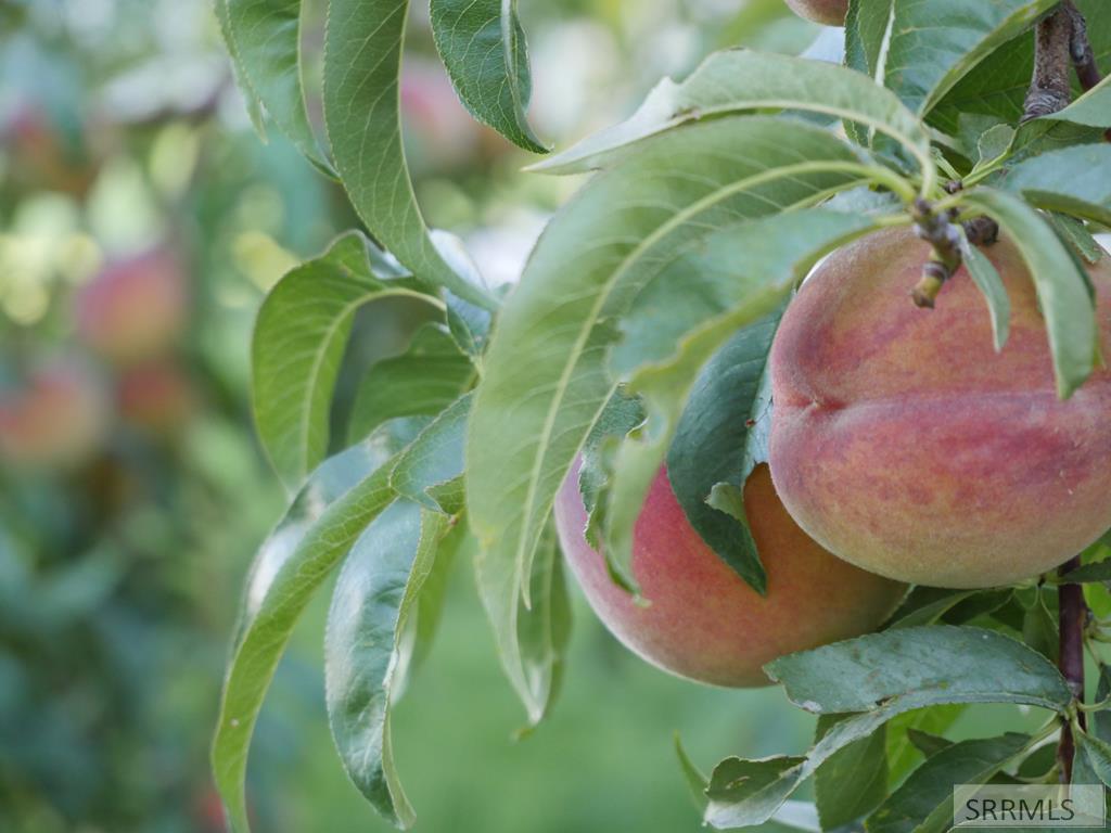 MLS #2176401 image #43