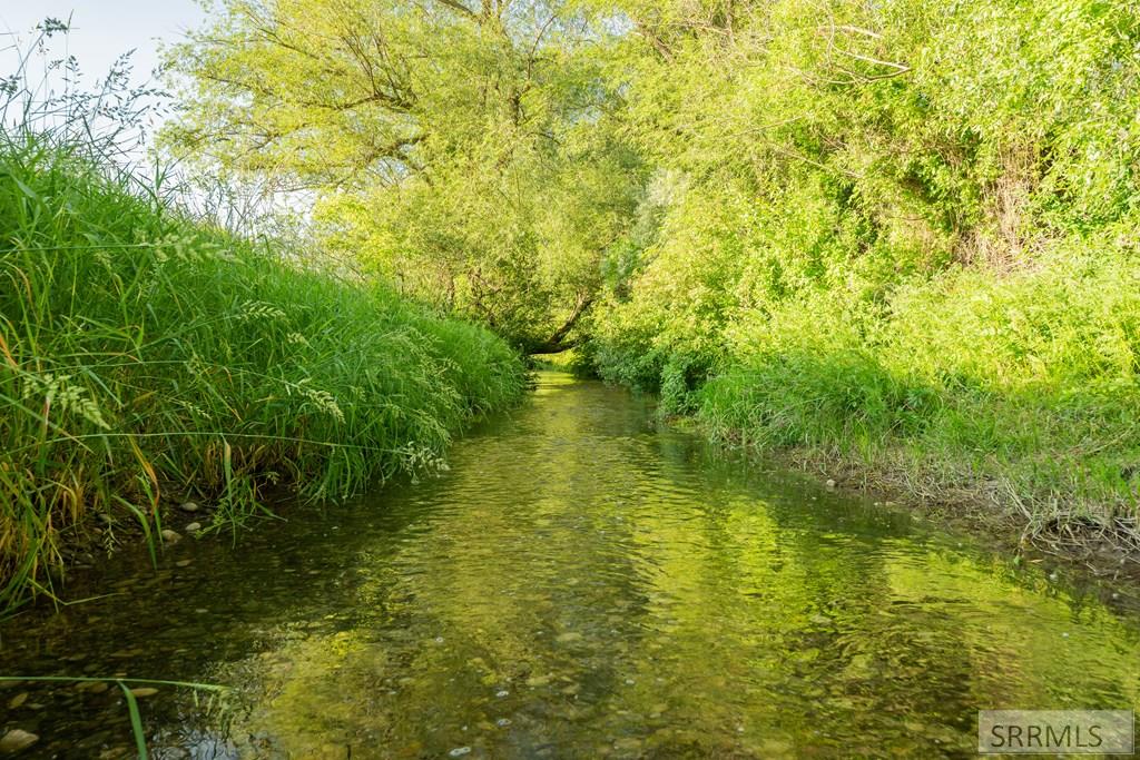 MLS #2177602 image #72