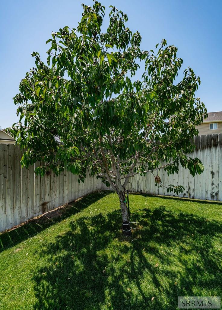 MLS #2178235 image #53