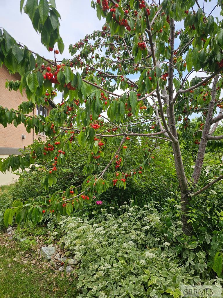 MLS #2178763 image #52