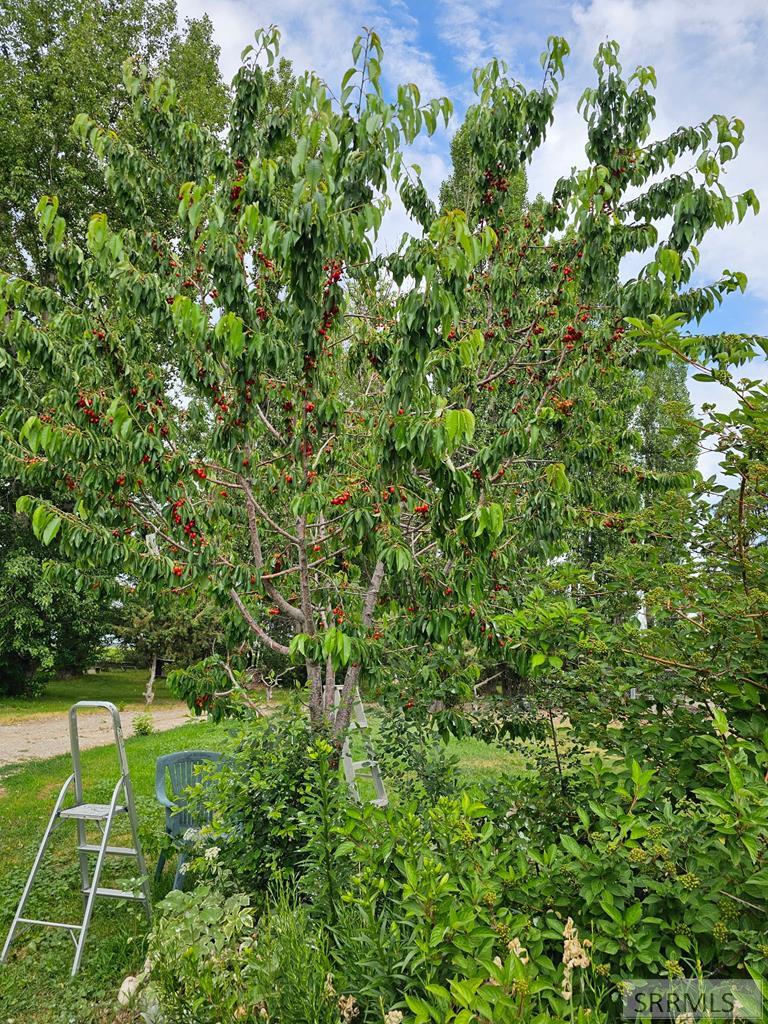 MLS #2178763 image #54