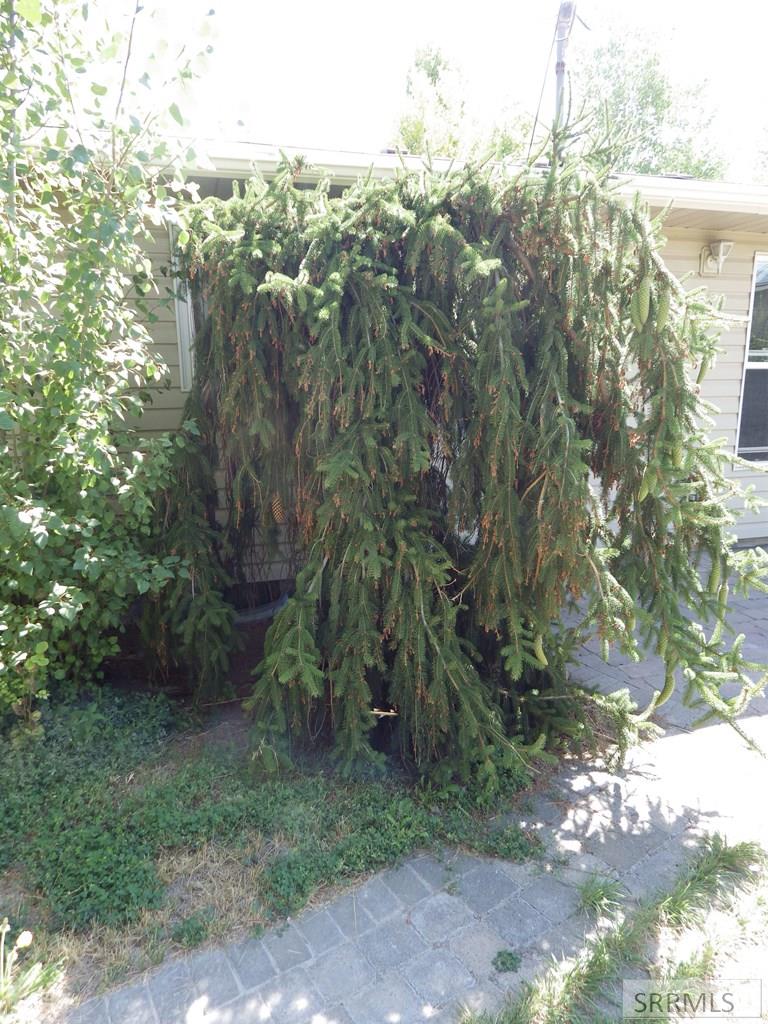 MLS #2179188 image #10