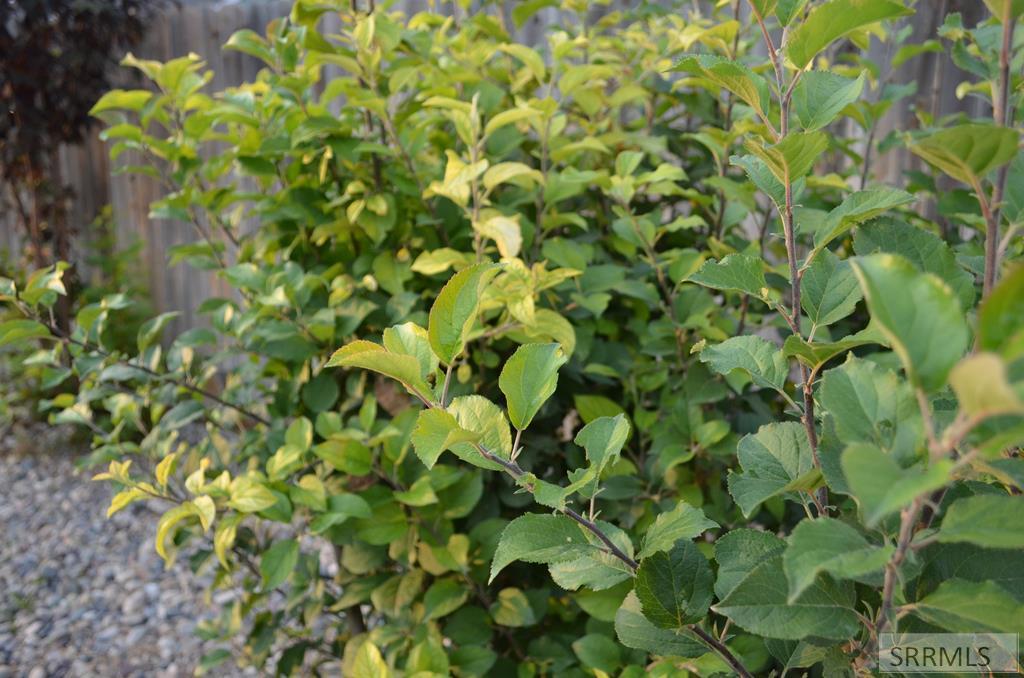 MLS #2179405 image #48