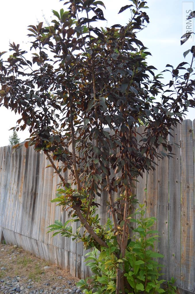 MLS #2179405 image #50