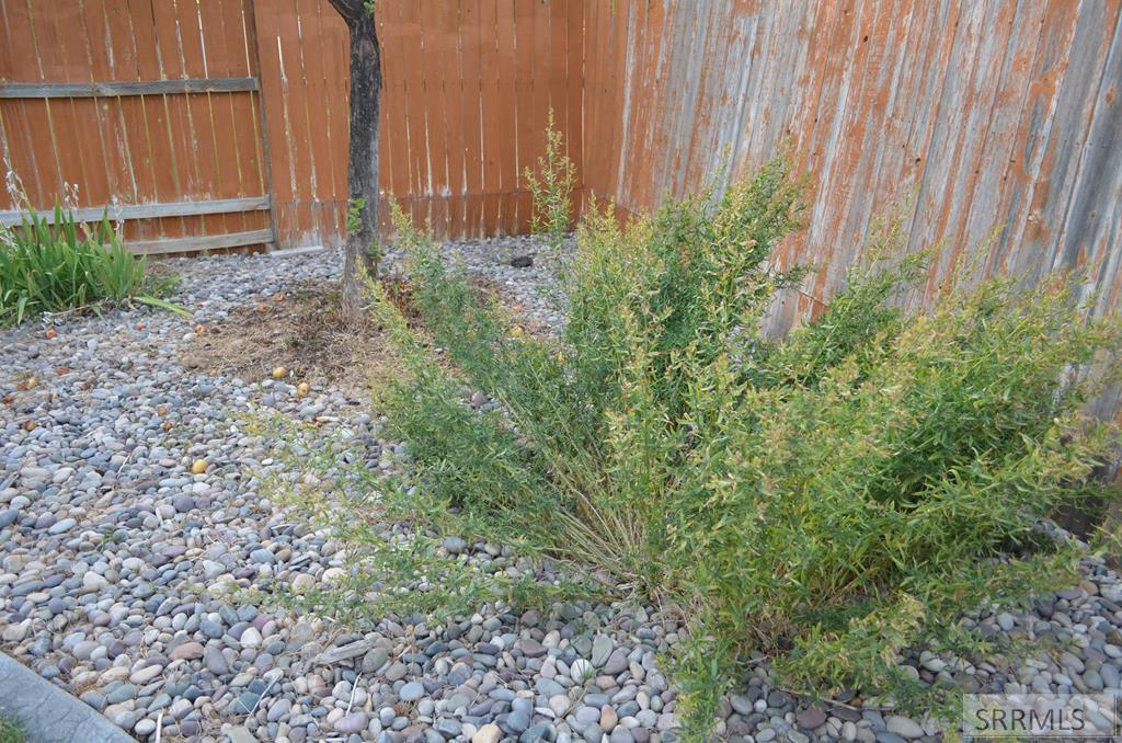 MLS #2179405 image #54