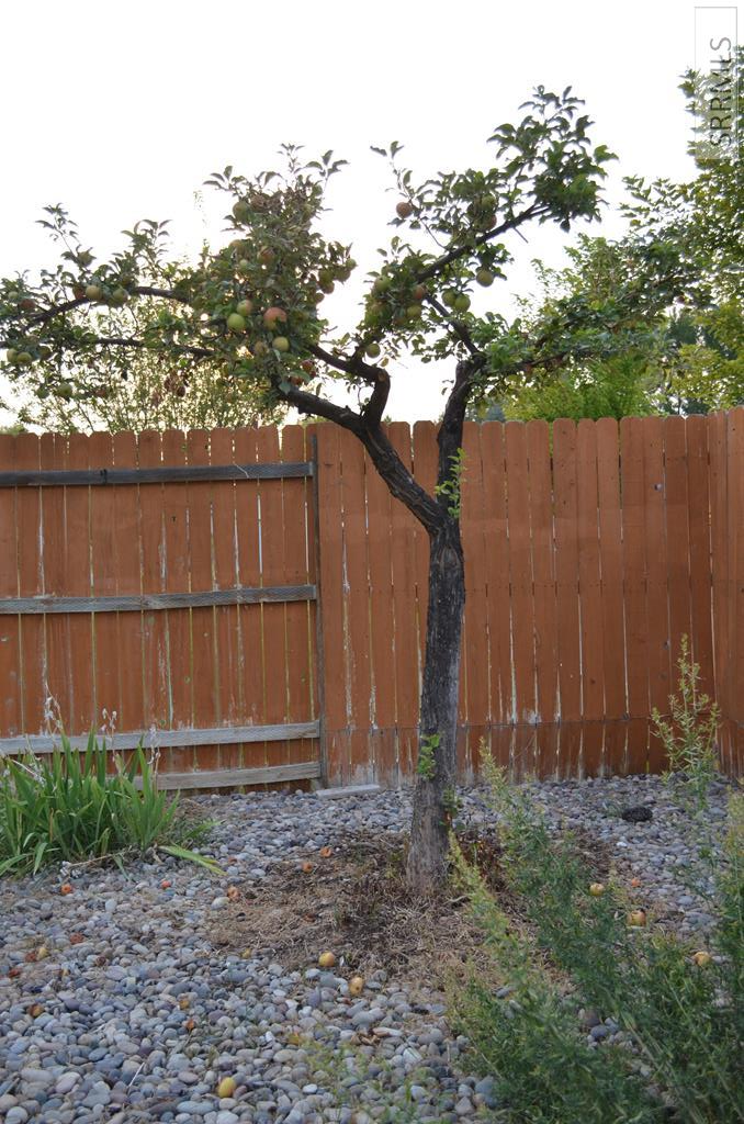 MLS #2179405 image #55