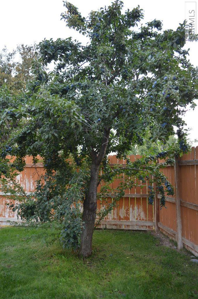 MLS #2179405 image #56