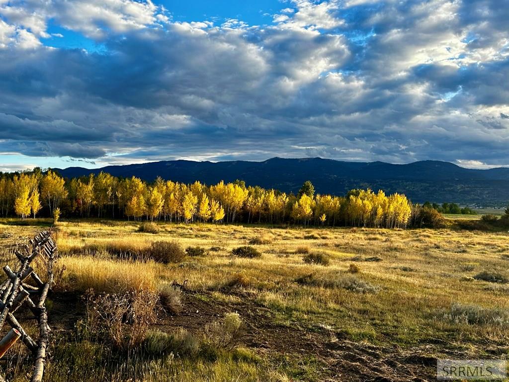 MLS #2179916 image #2