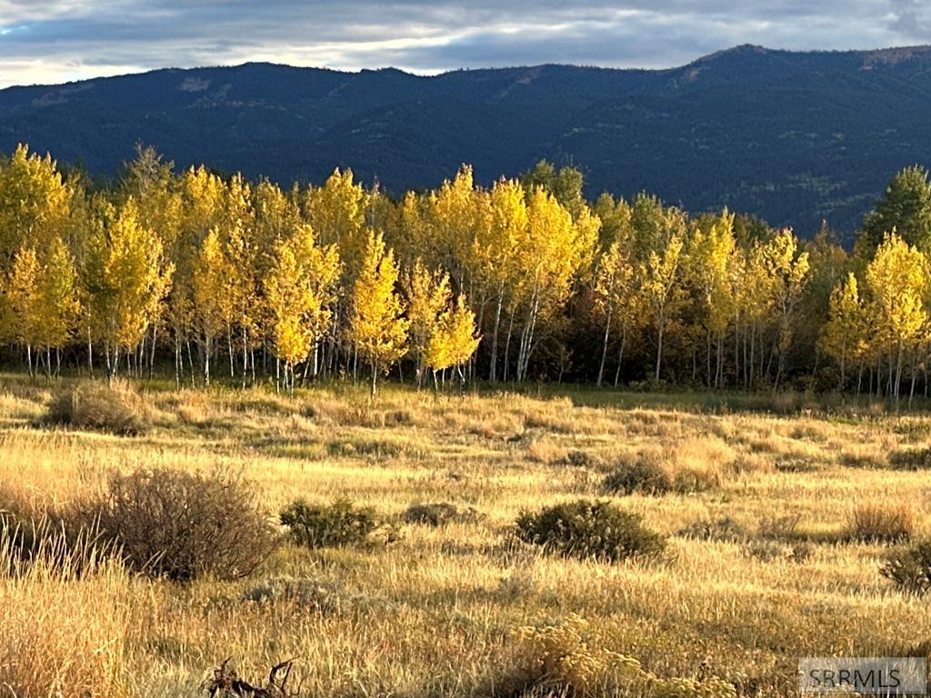 MLS #2179916 image #3