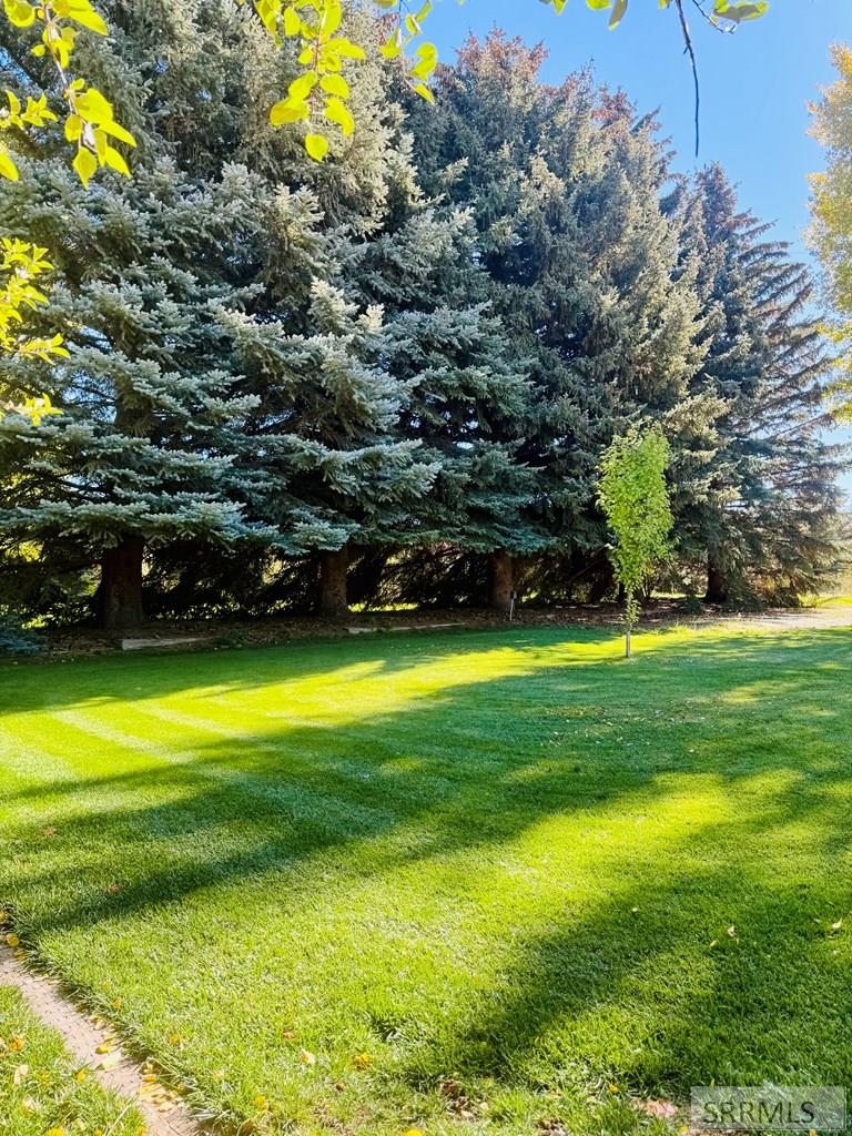 MLS #2180355 image #34