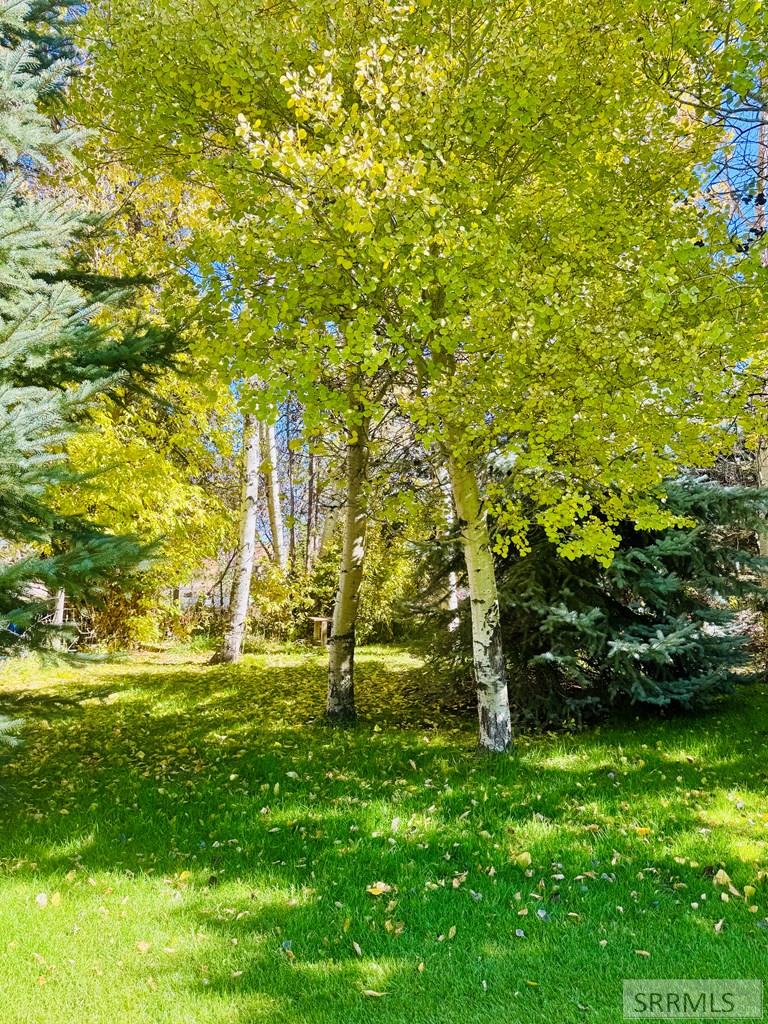 MLS #2180355 image #37