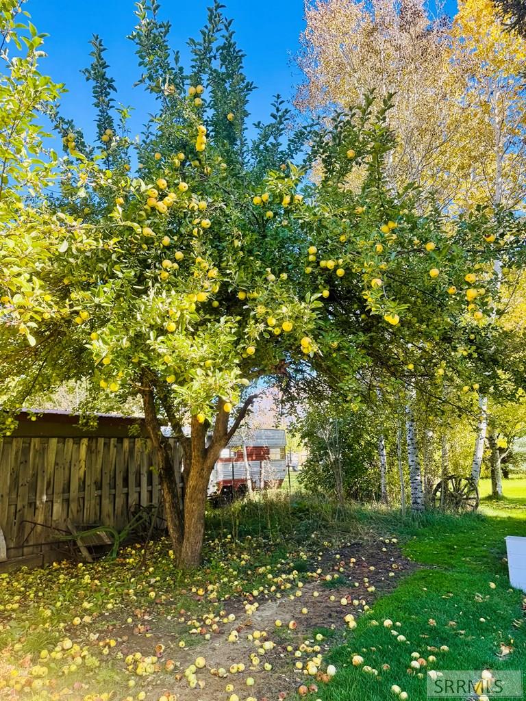 MLS #2180355 image #45