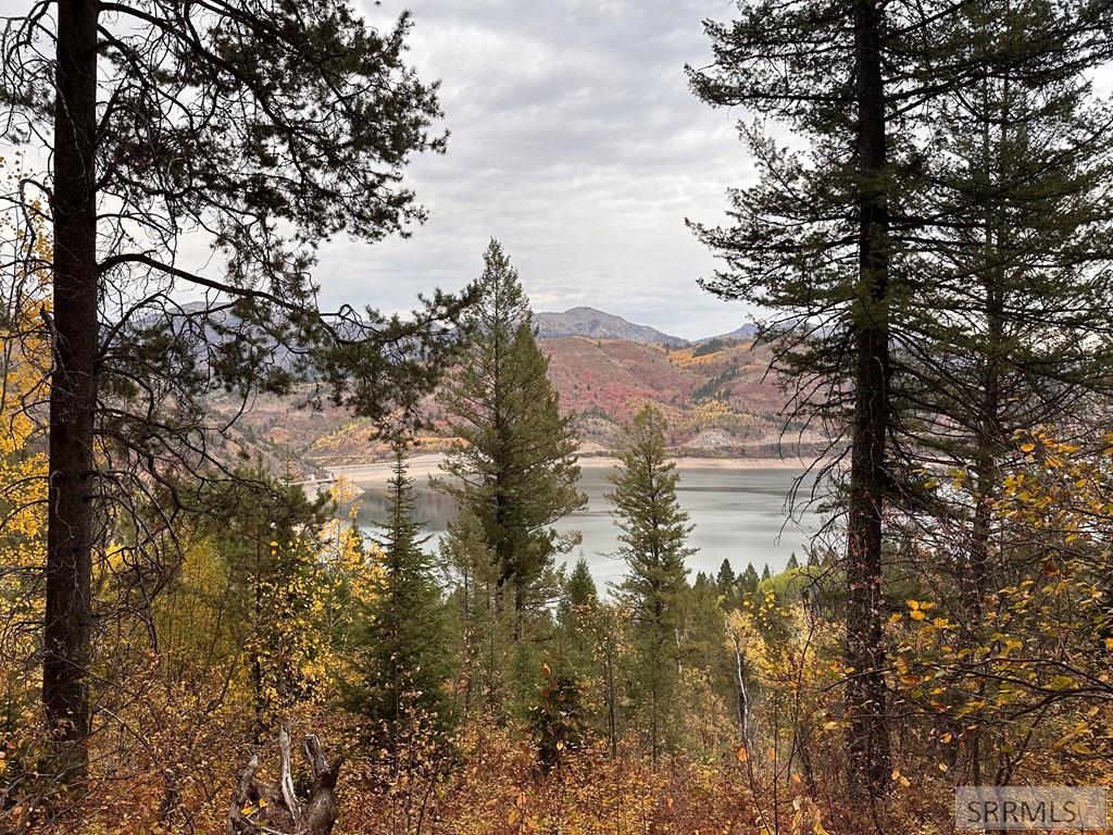 MLS #2180429 image #2