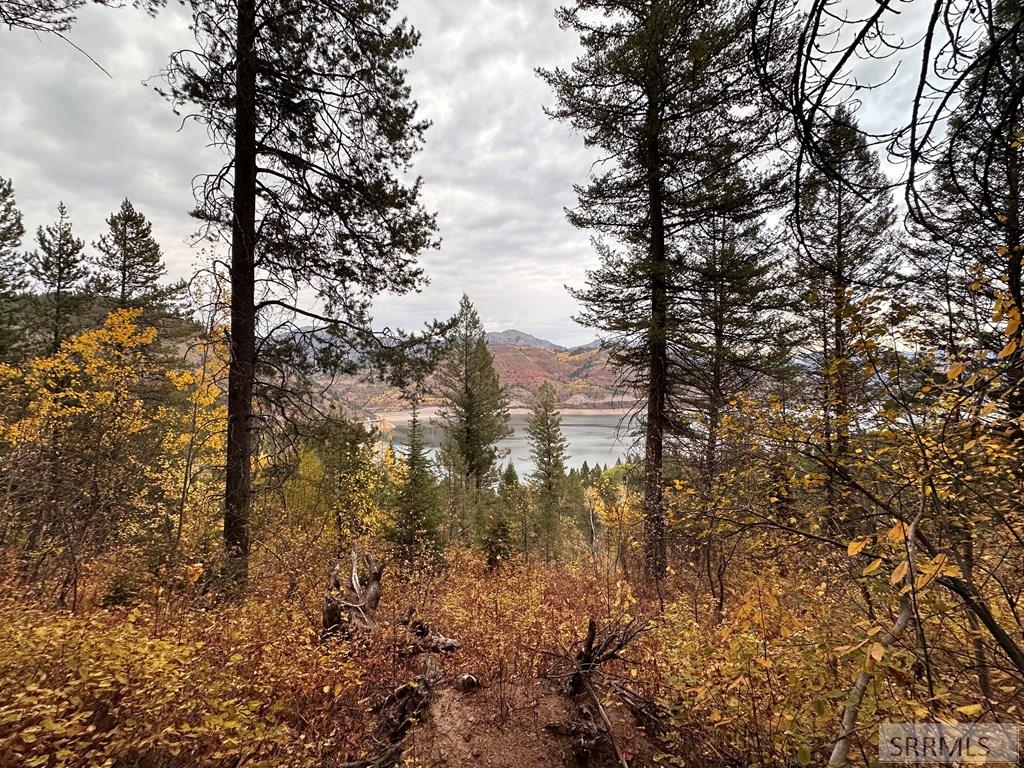 MLS #2180429 image #3