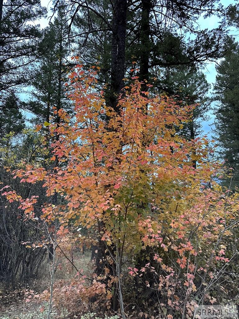 MLS #2180429 image #34