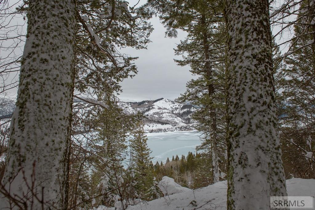 MLS #2180429 image #36