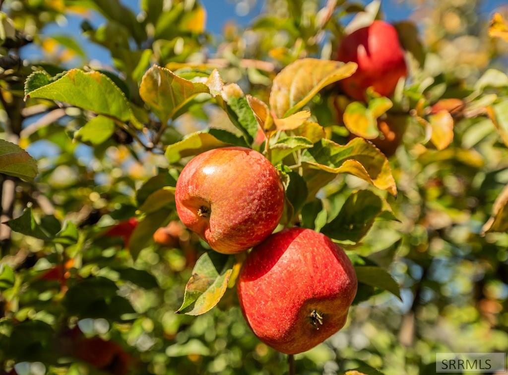 MLS #2180453 image #53