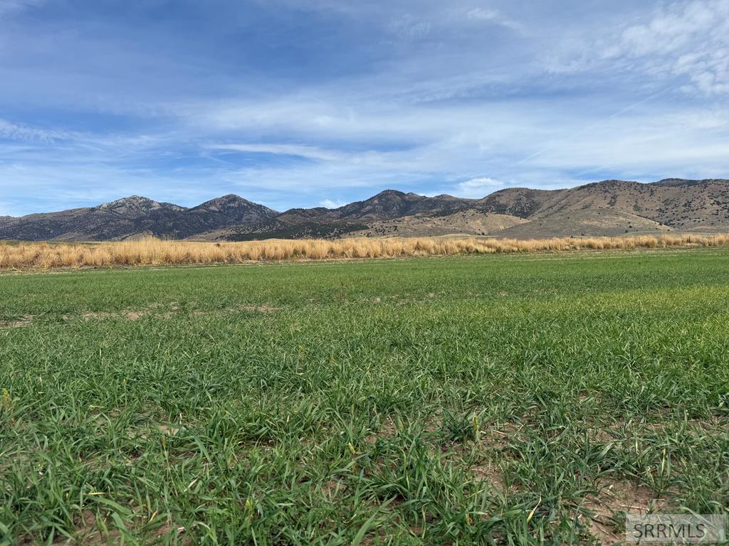 MLS #2180519 image #0