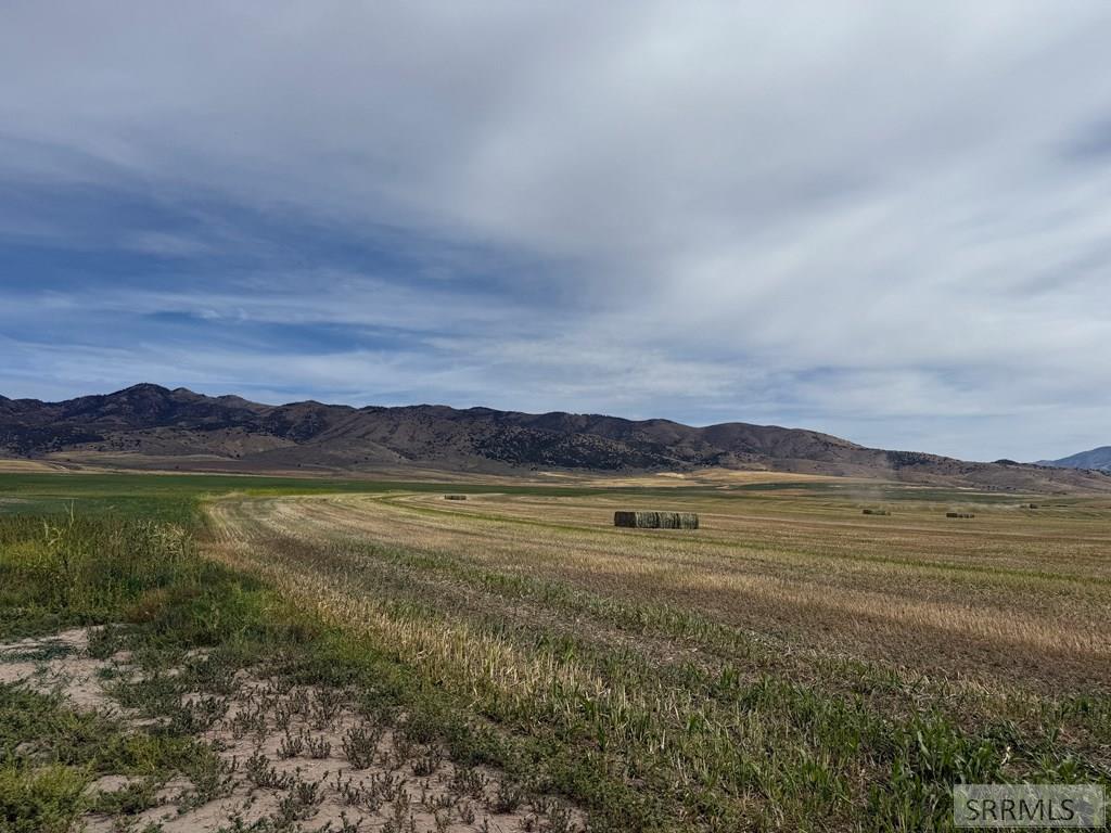 MLS #2180519 image #2