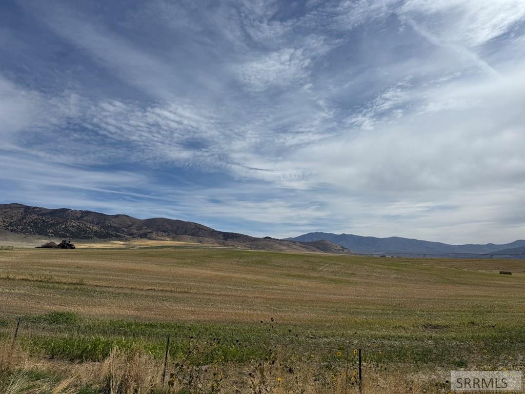 MLS #2180519 image #5