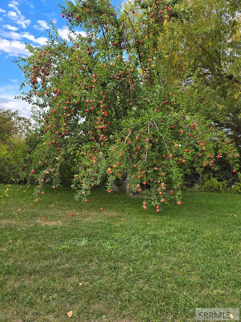 MLS #2181703 image #56