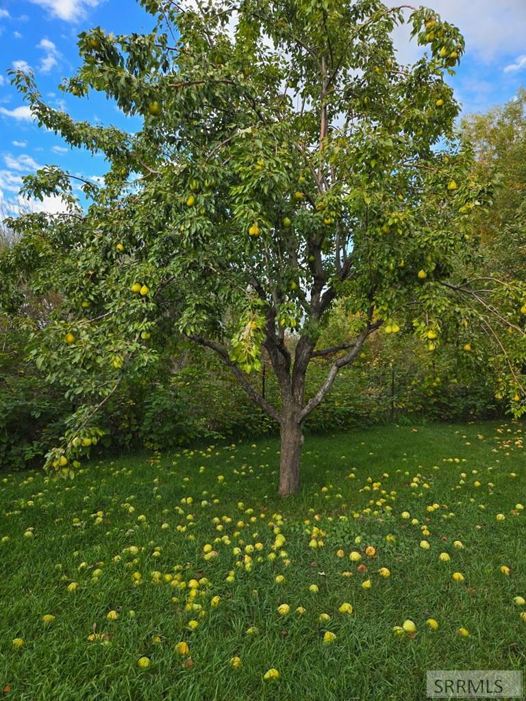 MLS #2181703 image #59