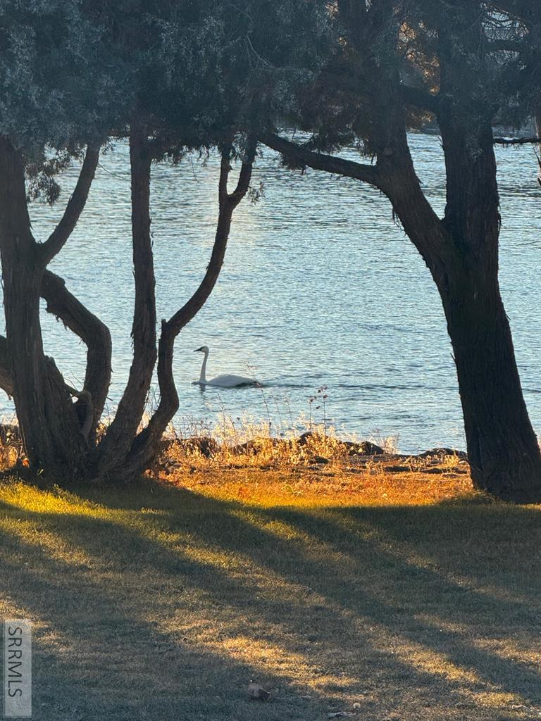 MLS #2181708 image #54