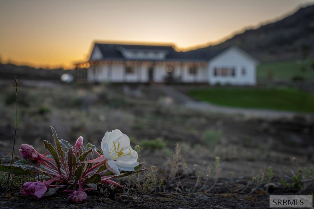 MLS #2181715 image #8