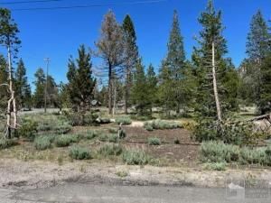 MLS #141269 img 0