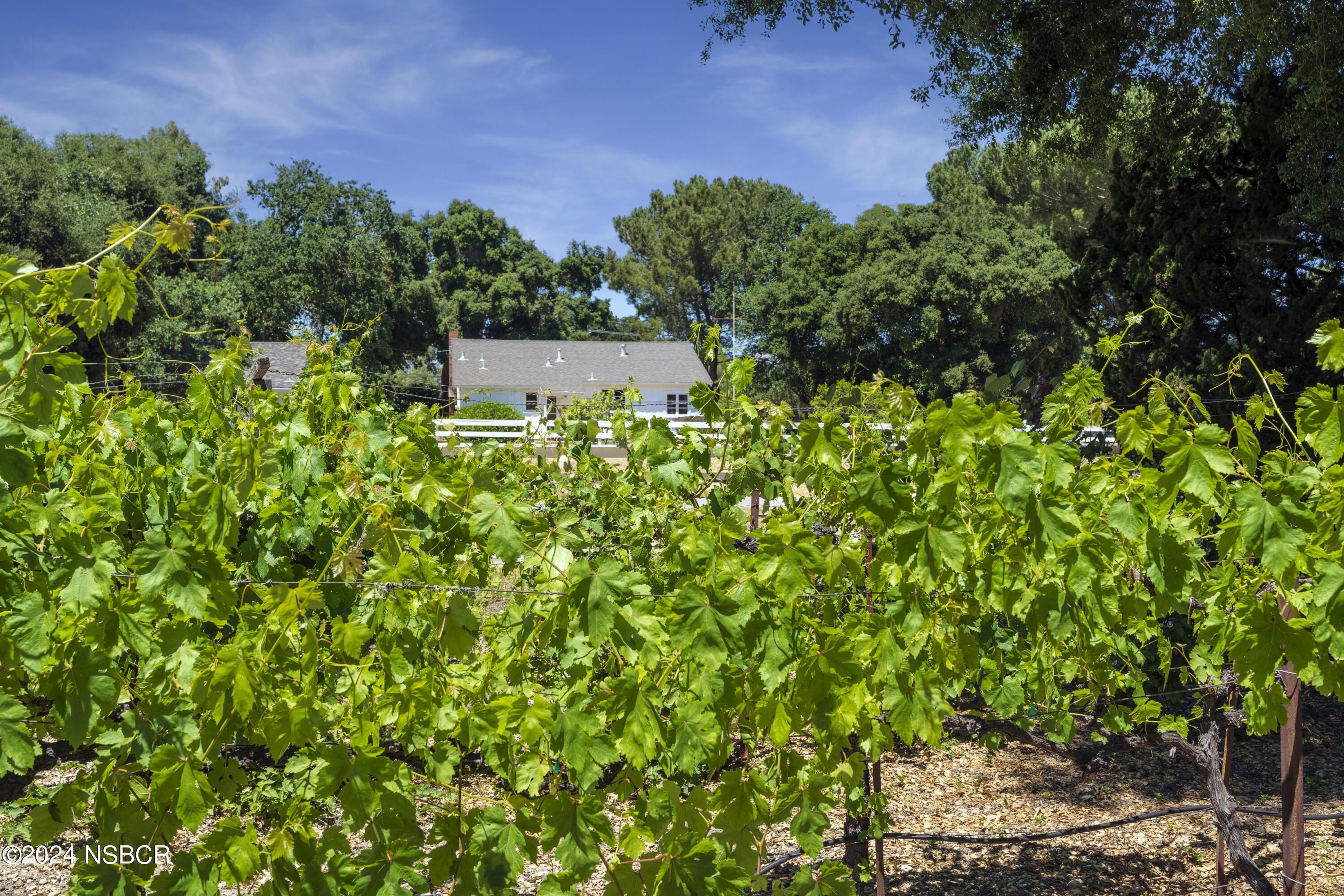 MLS #24001233 image #39