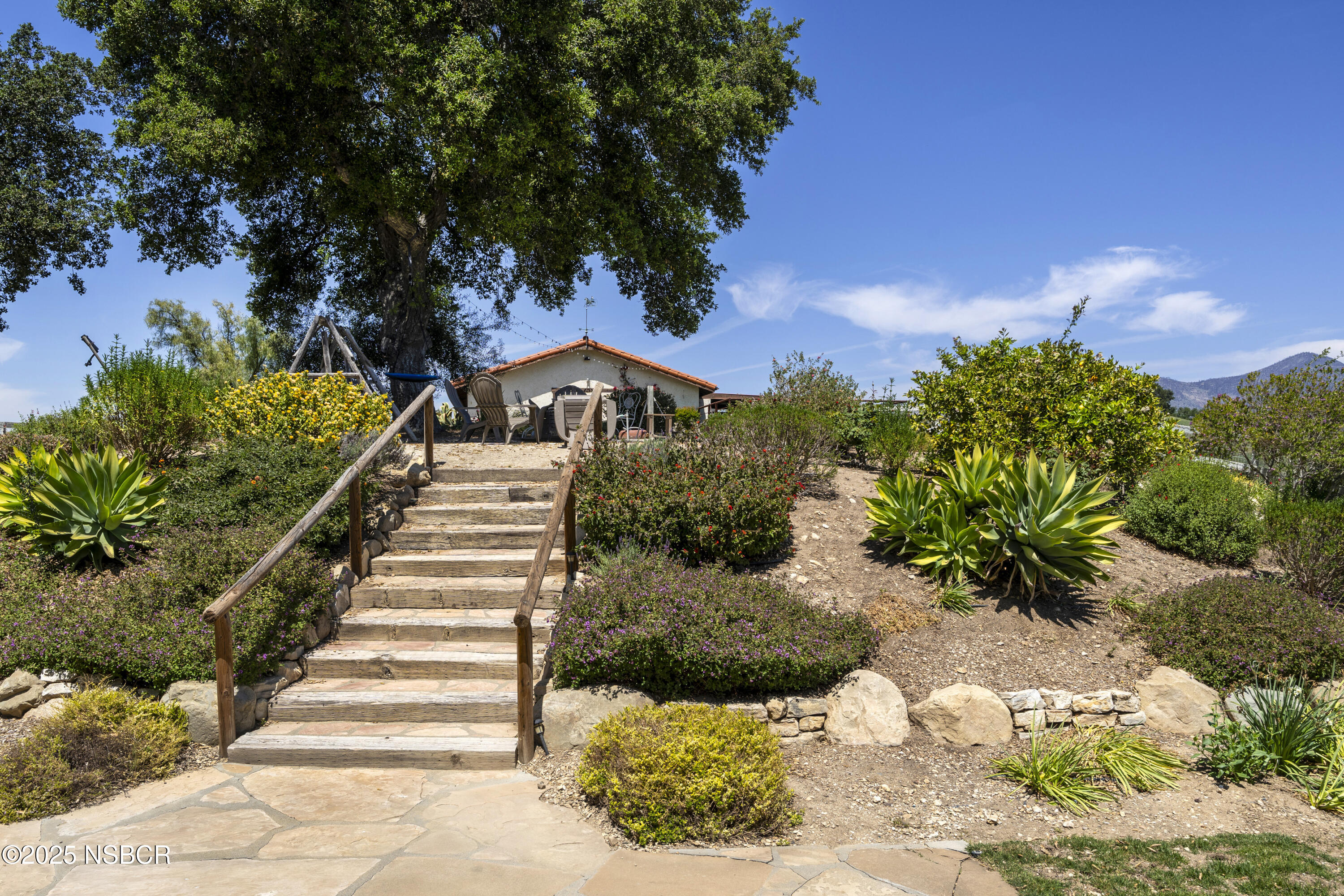 MLS #25000389 image #21