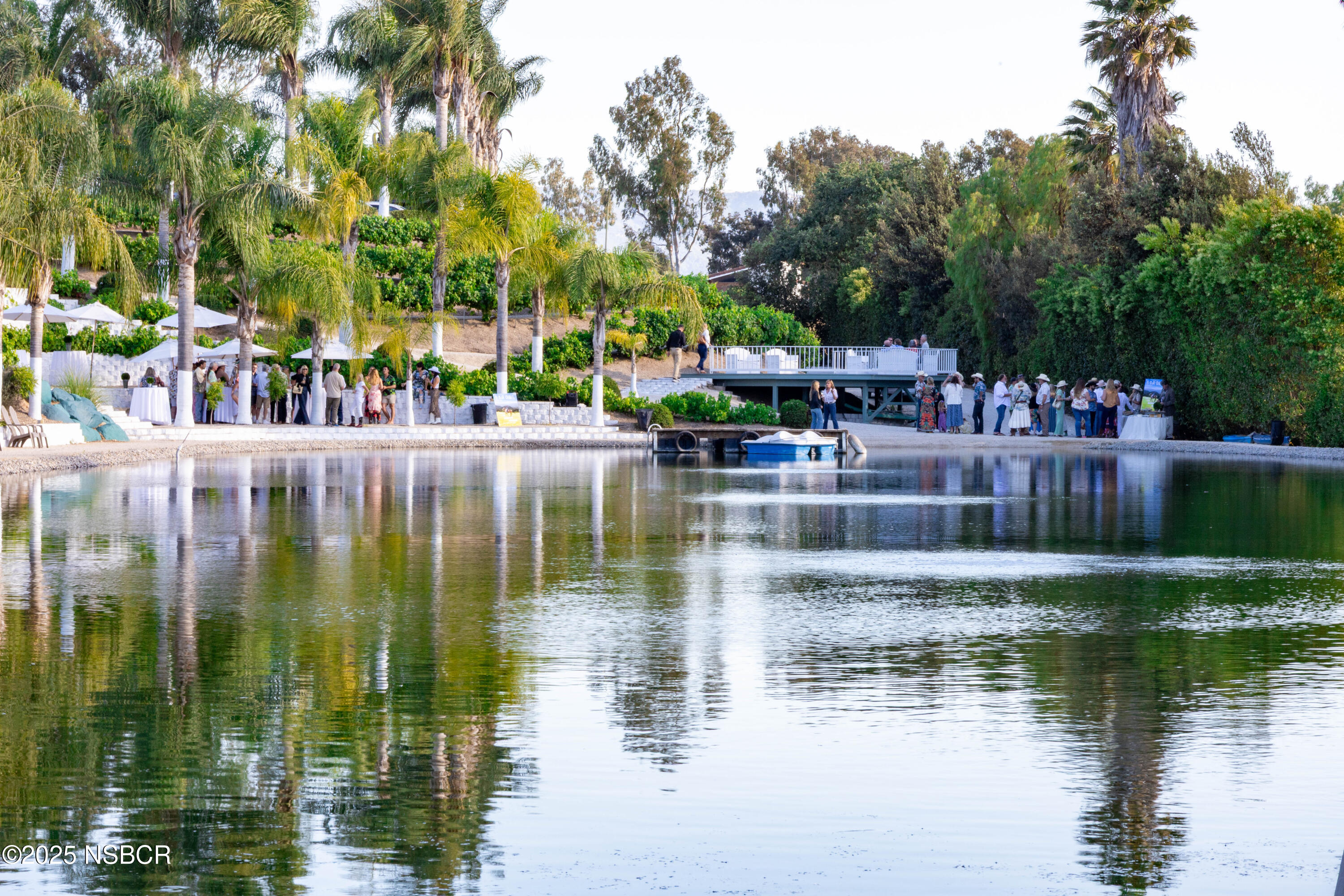 MLS #25000603 image #2