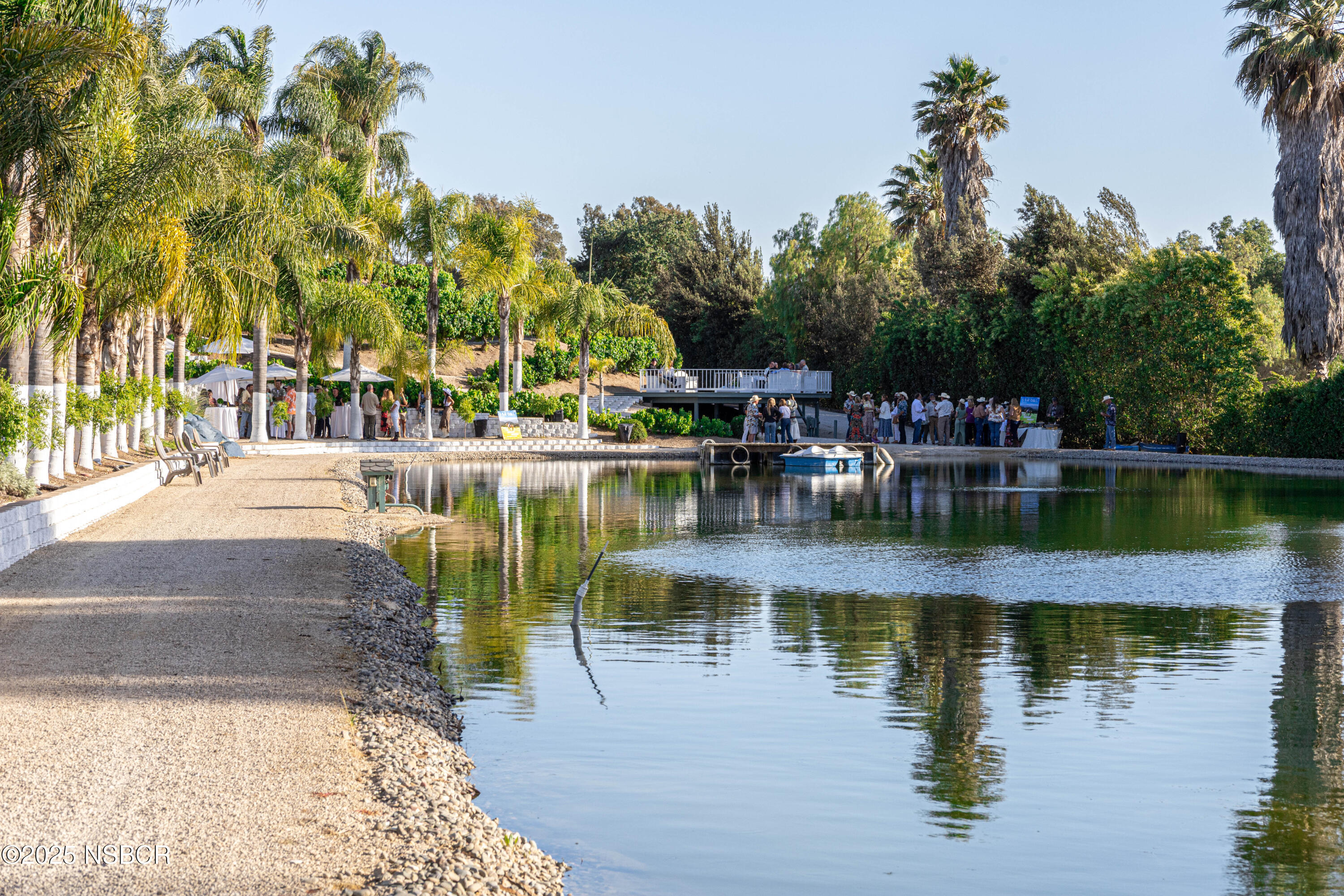 MLS #25000603 image #3