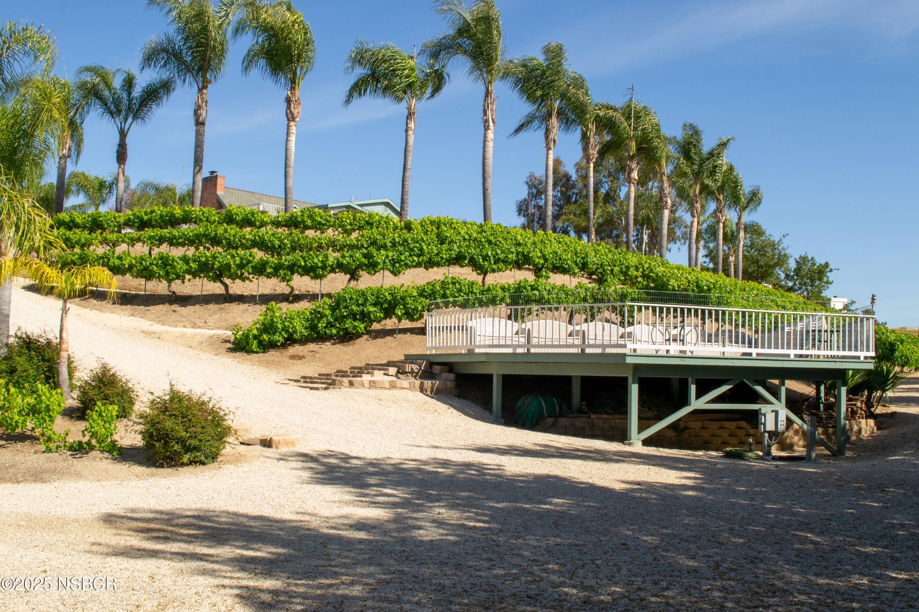 MLS #25000603 image #30